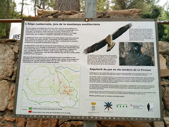 Fotografía de PICOSSA, AVENC DE LA (9 de 9)