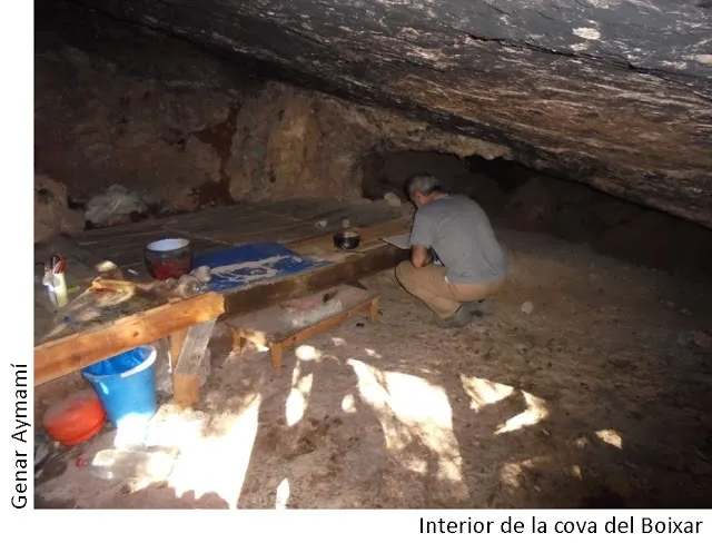 Photographie de BOIXAR, COVA DEL (4 sur 4)