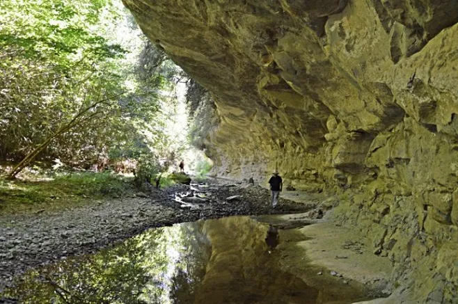 Photograph of TORRENT DE LA FÀBREGA, BAUMA DEL (2 of 2)