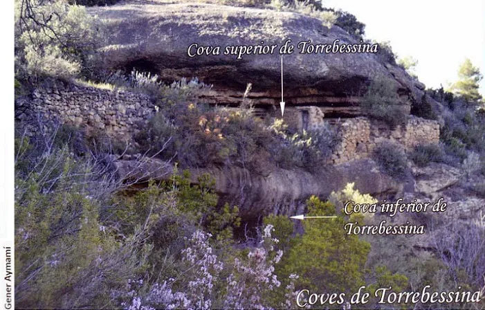 Photograph of TORREBESSINA, COVA INFERIOR DE (1 of 4)