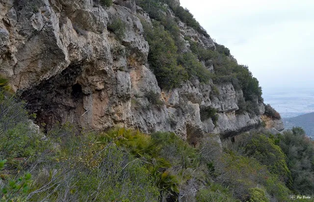 Fotografía de FLORO, COVA DEL (1 de 1)
