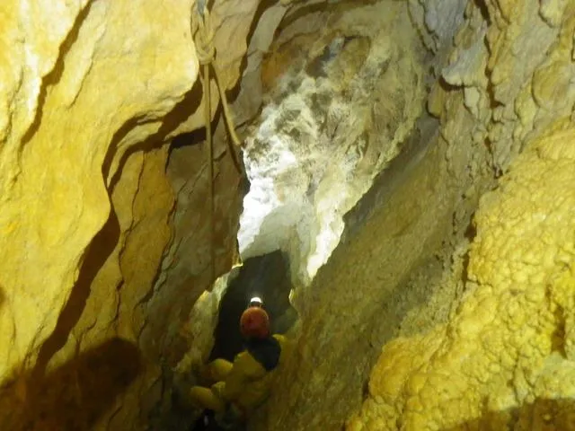 Fotografía de OLLES, FORAT DE LES (5 de 9)