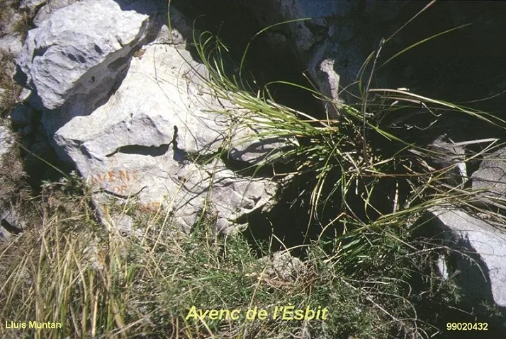 Fotografia de ESBIT, AVENC DE L' (1 de 4)