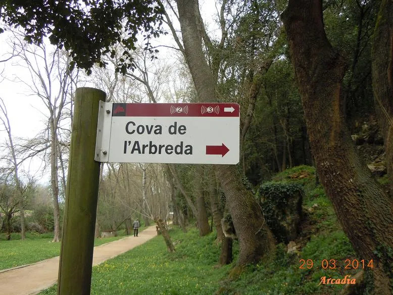 Photographie de ARBREDA, COVA DE L' (1 sur 6)