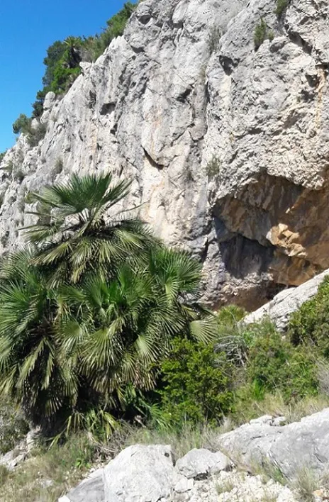 Fotografía de FONDO DEL BRUC, COVARRONS DEL (2 de 3)