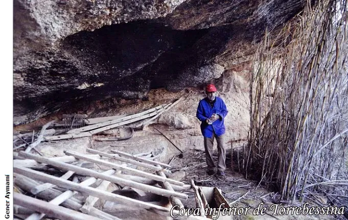 Photograph of TORREBESSINA, COVA INFERIOR DE (3 of 4)