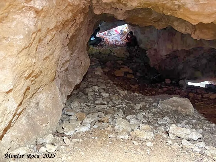 Fotografía de MASSANA, COVA DEL (7 de 9)
