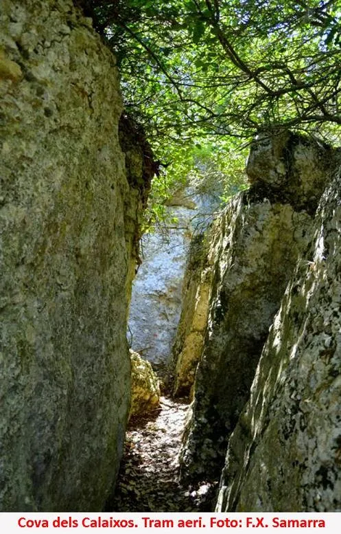 Fotografia de CALAIXOS DE L'ERELDO, COVA DELS (5 de 6)