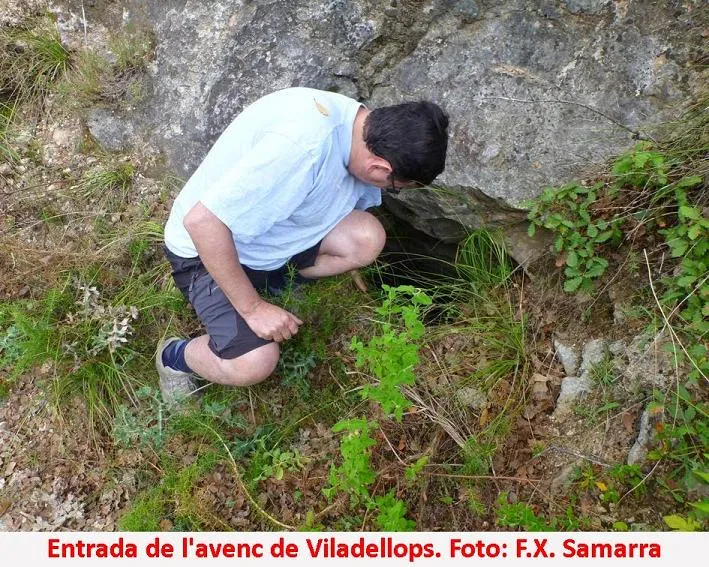 Fotografia de VILADELLOPS, AVENC DE (1 de 3)