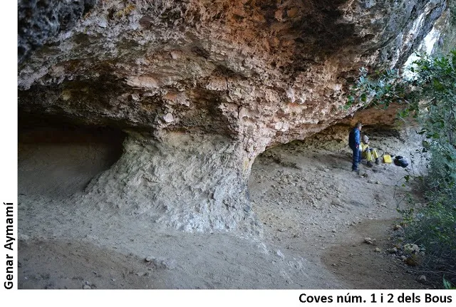 Photographie de BOUS, COVES DELS (3 sur 5)