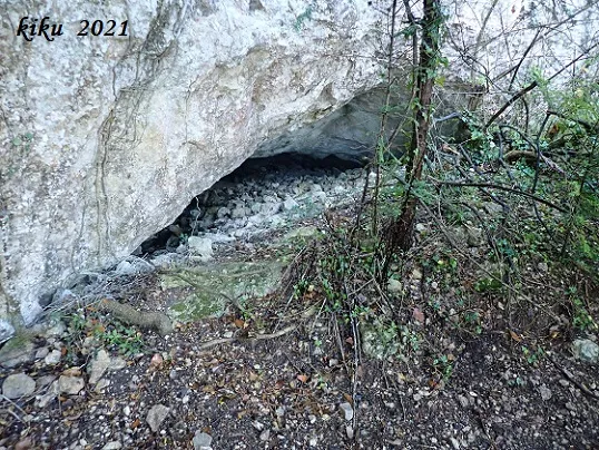 Photographie de CINGLE DE PUIGXIQUET, COVA DEL (1 sur 5)