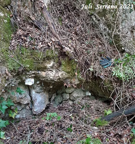 Fotografia de SERRA DEL MAS, AVENC SM-27 DE LA (3 de 5)