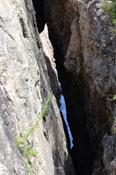 Fotografia de RONCADORA, SA (4 de 4)