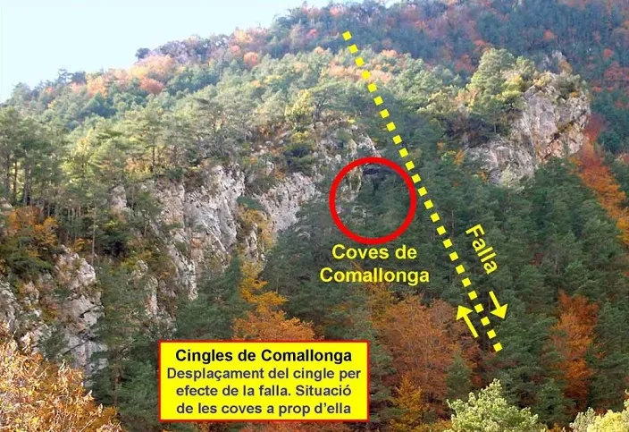 Fotografía de COMALLONGA, COVA Nº1 DE (1 de 4)