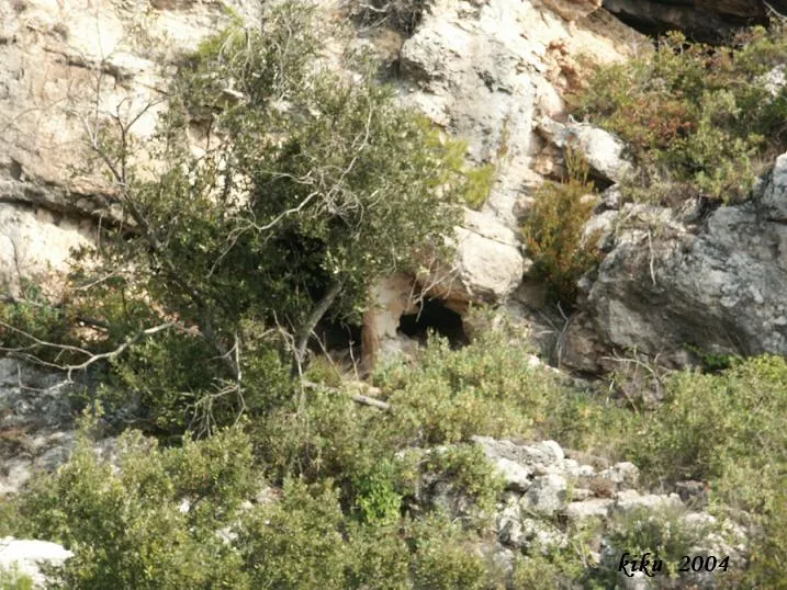 Fotografia de SANTA ANNA, COVA GRAN DE (1 de 1)