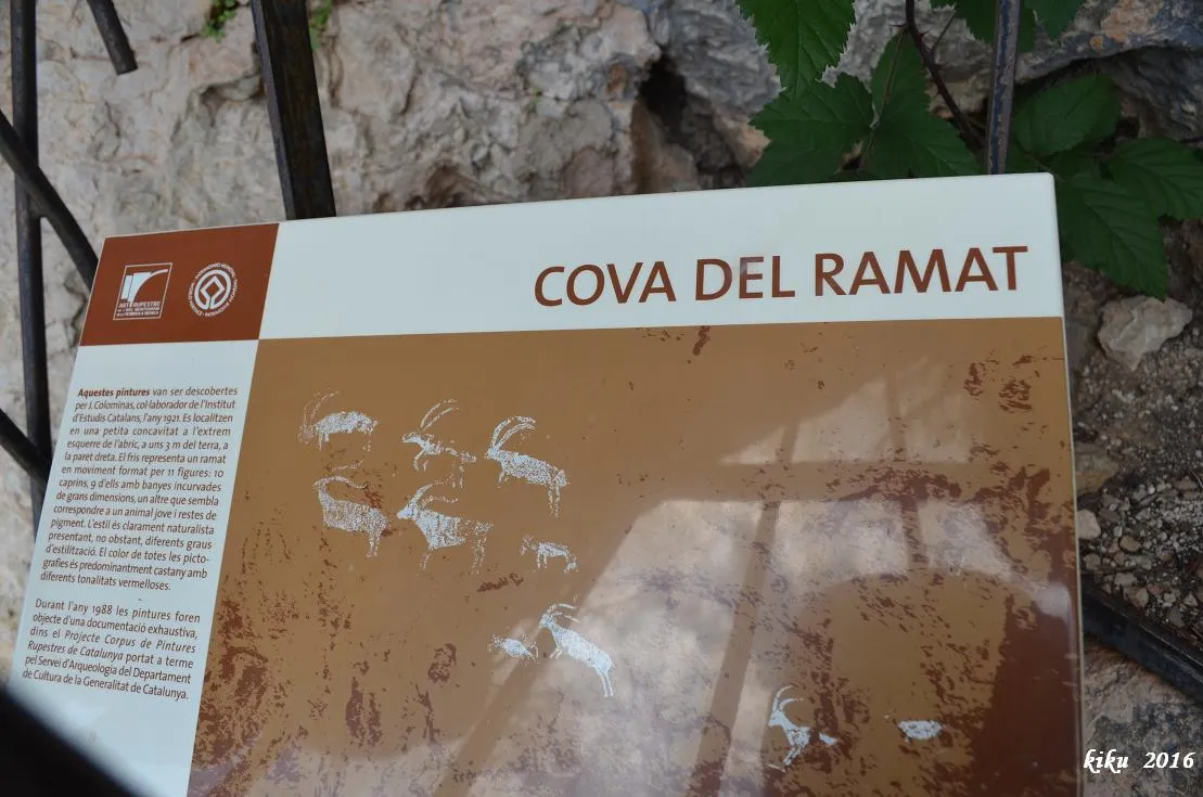 Photographie de RAMAT, COVA DEL (4 sur 5)