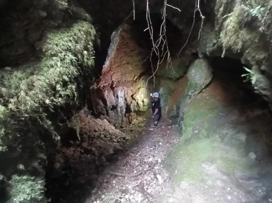 Fotografía de BAIARRI, GRALLERA DE (3 de 6)