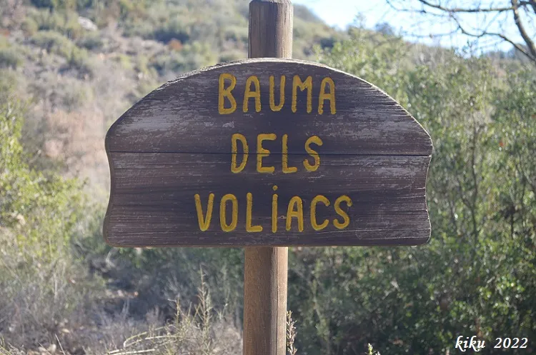 Photographie de VOLIACS, BAUMA DELS (1 sur 5)