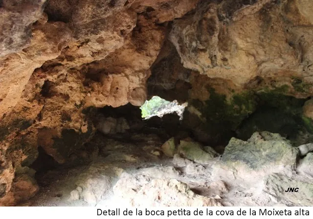 Photographie de MOIXETA ALTA, COVA DE LA (2 sur 2)