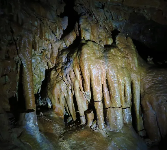 Fotografia de CAN RIGOL Nº 2, COVA DE (3 de 11)