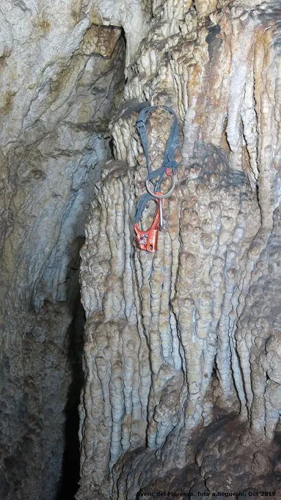 Fotografia de FLORESSO, AVENC D'EN (4 de 6)