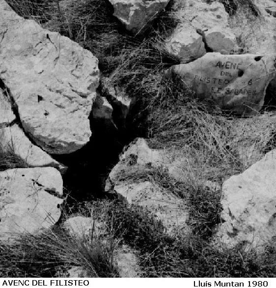 Fotografía de FILISTEO, AVENC DEL (1 de 1)
