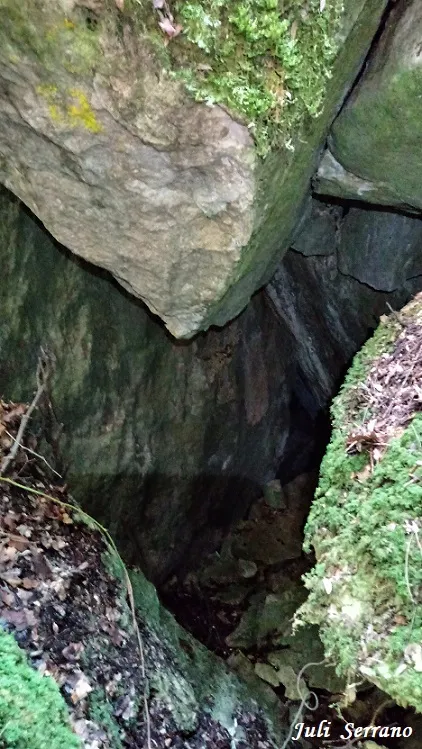 Fotografía de DOLINA, AVENC DE LA (2 de 4)