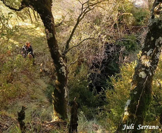 Photographie de GURP, GRALLER DE (7 sur 17)