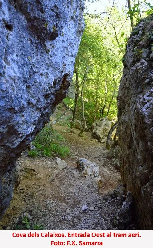 Fotografia de CALAIXOS DE L'ERELDO, COVA DELS (1 de 6)