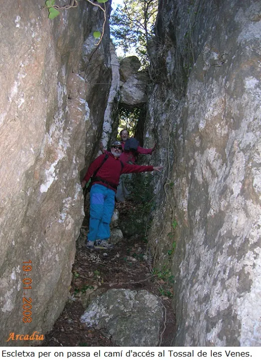 Fotografia de VENES, ESQUERDES DE LES - ROJALONS, AVENC GRAN DE (1 de 12)