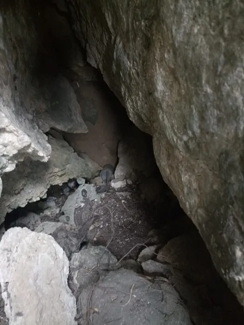 Fotografia de CUNETA, COVES DE LA (4 de 4)