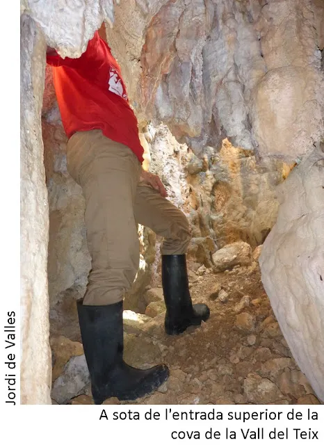 Fotografía de VALL DEL TEIX, COVA DE LA (3 de 3)