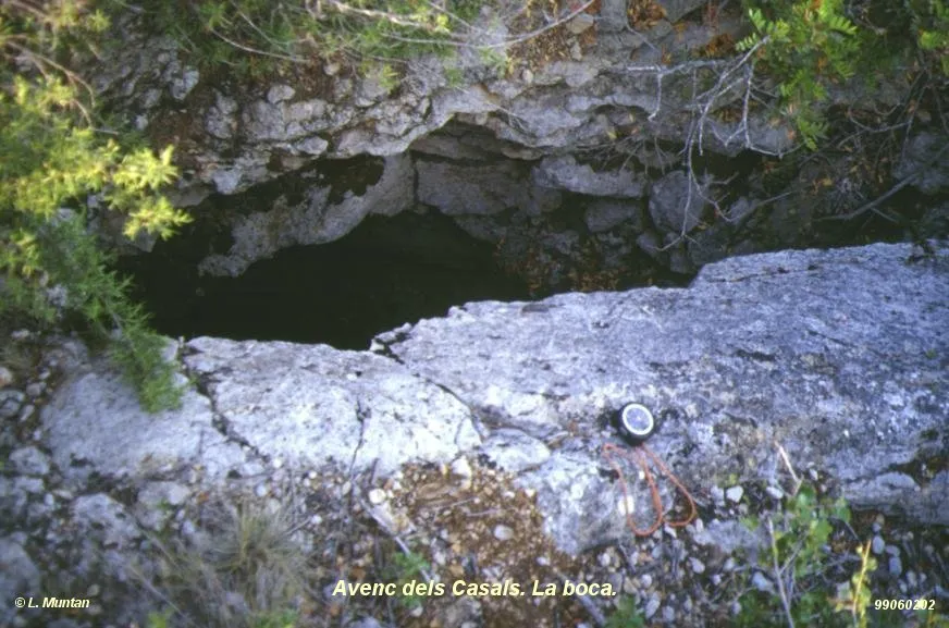 Fotografía de CASALS, AVENC DELS (1 de 1)