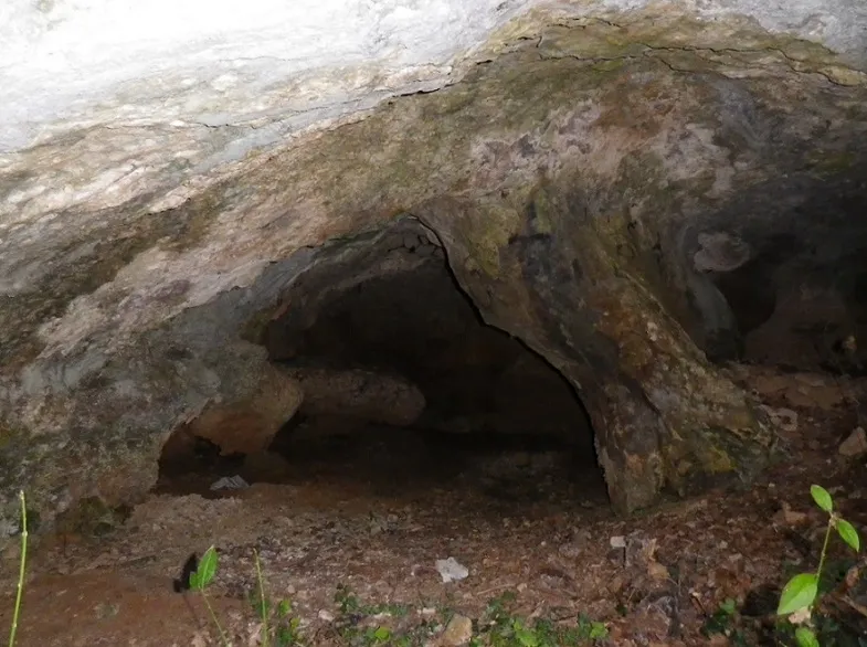Fotografía de FONTSCALENTS, COVA DE (3 de 3)