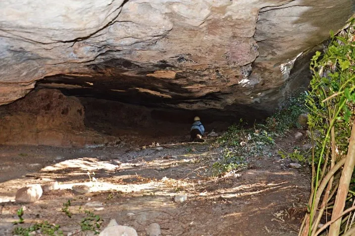 Fotografia de FIGUERA, BALMA DE LA (1 de 4)