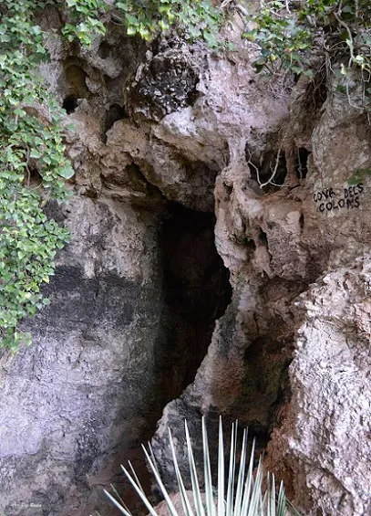 Fotografia de COLOMS, COVA DELS (1 de 3)