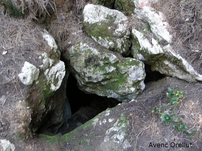 Photographie de ARRELS-CLONC, SISTEMA (8 sur 15)