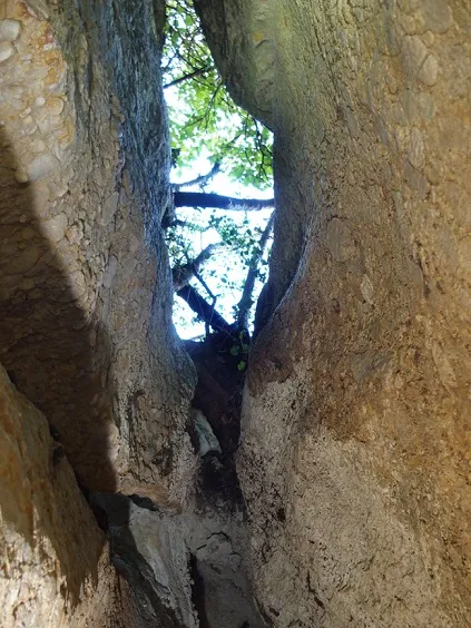 Fotografia de MATA, COVA DE LA (1 de 9)