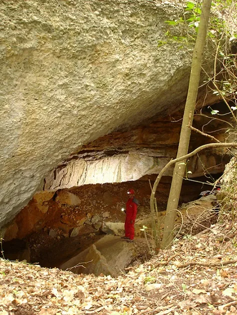 Fotografia de COMA CLOSA SUPERIOR, COVA DE LA (3 de 3)