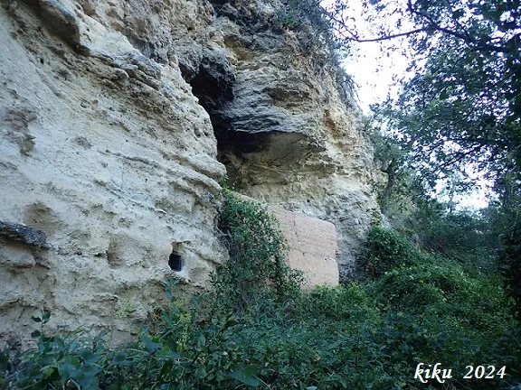 Fotografia de MALLORQUÍ, COVA DEL (1 de 6)