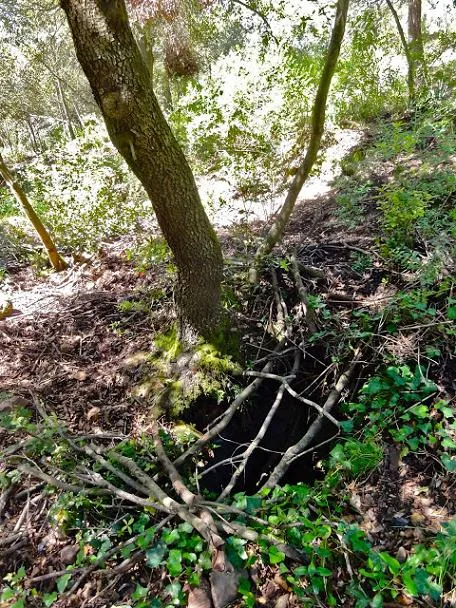 Photograph of FORN DE PEGA DEL DALMAU, AVENC DEL (1 of 1)