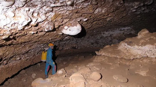 Photographie de TORALLA, COVA DE (3 sur 5)