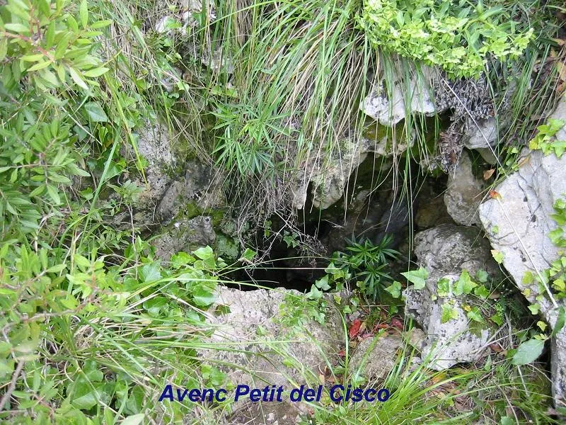 Photograph of CISCO, AVENC PETIT DEL (1 of 1)