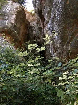 Fotografía de REGAL-MARCET, COVA (2 de 6)