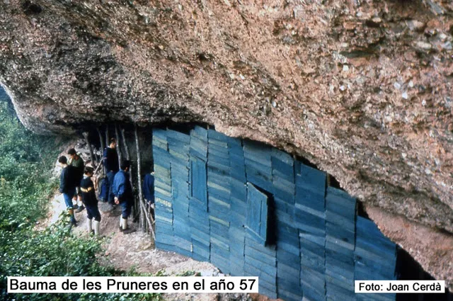 Fotografia de PRUNERES, COVA DE LES (1 de 4)
