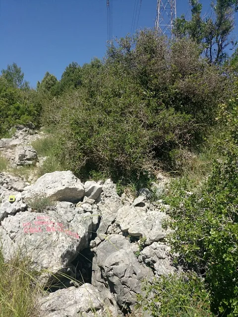 Photograph of TORRENT DEL COLL DE LA CREU, AVENC DEL (1 of 7)