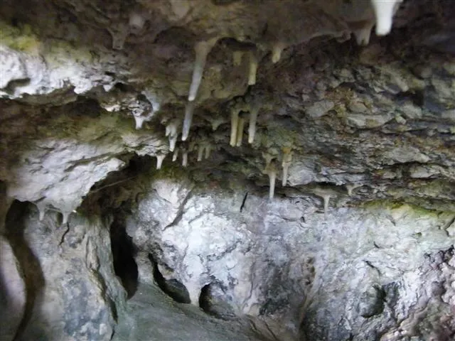 Fotografia de ROCATER, COVA DEL (2 de 2)