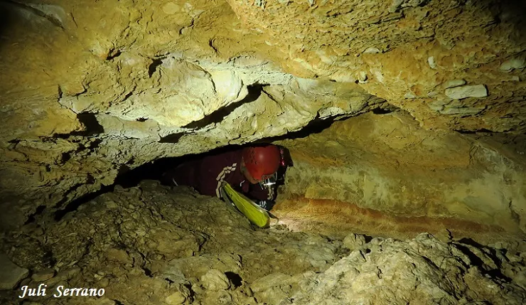 Photographie de FONT, COVA DE LA (10 sur 11)