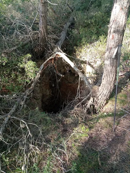 Fotografia de VIDRE, AVENC DEL (1 de 2)