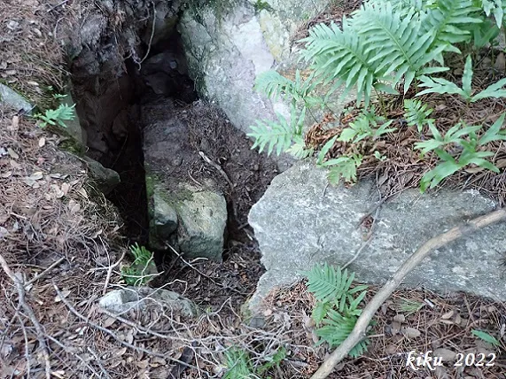Photographie de BAGA DE CAN TORRELA, FORAT DE LA (1 sur 5)